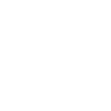 دینام مگنتی  جکی 750 وات با تنظیم موقعیت سوزن